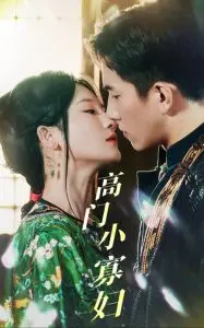 《高门小寡妇》：权力、爱情与背叛，揭秘上流社会秘辛